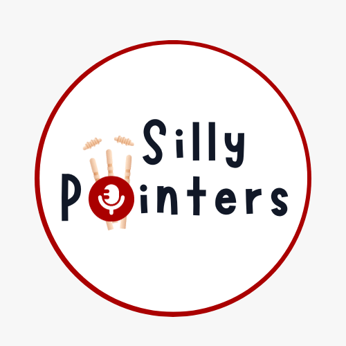 sillypointers